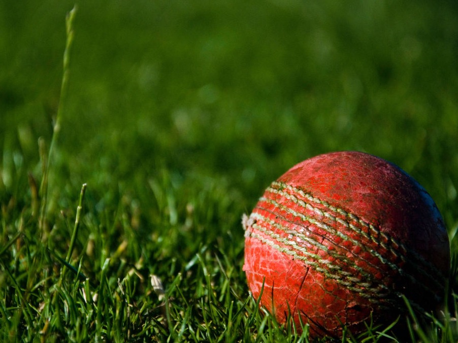 Cricket Ball (credit: Alessandro Bogliari)